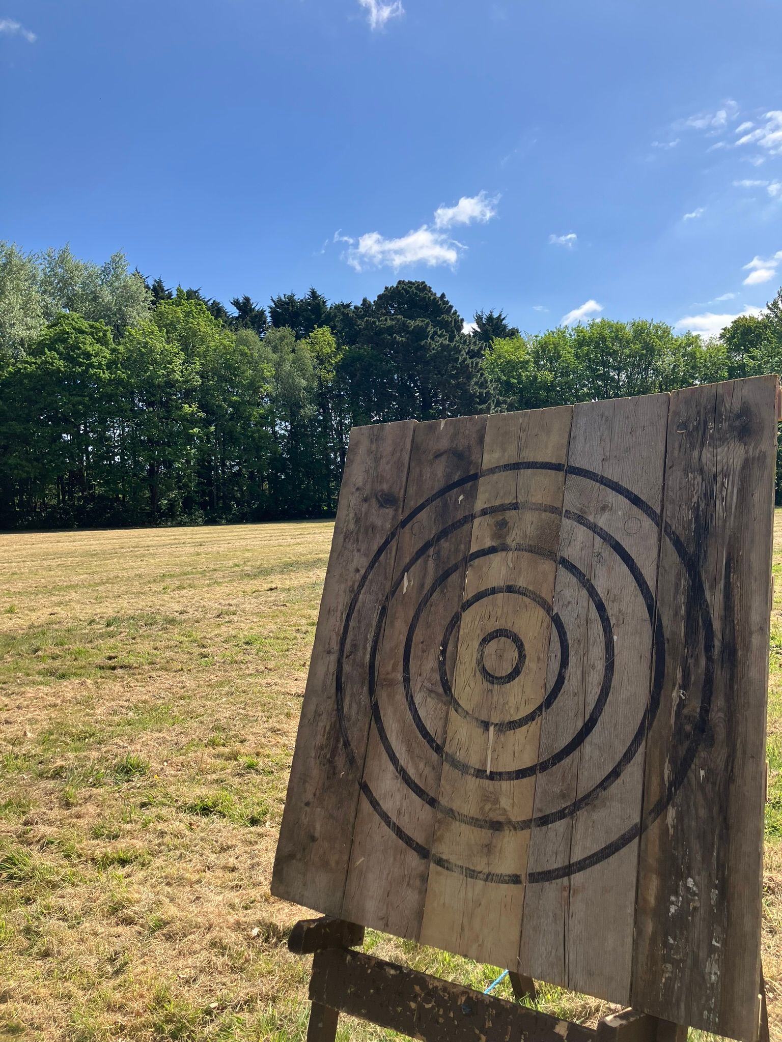 A wooden axe throwing target on a field