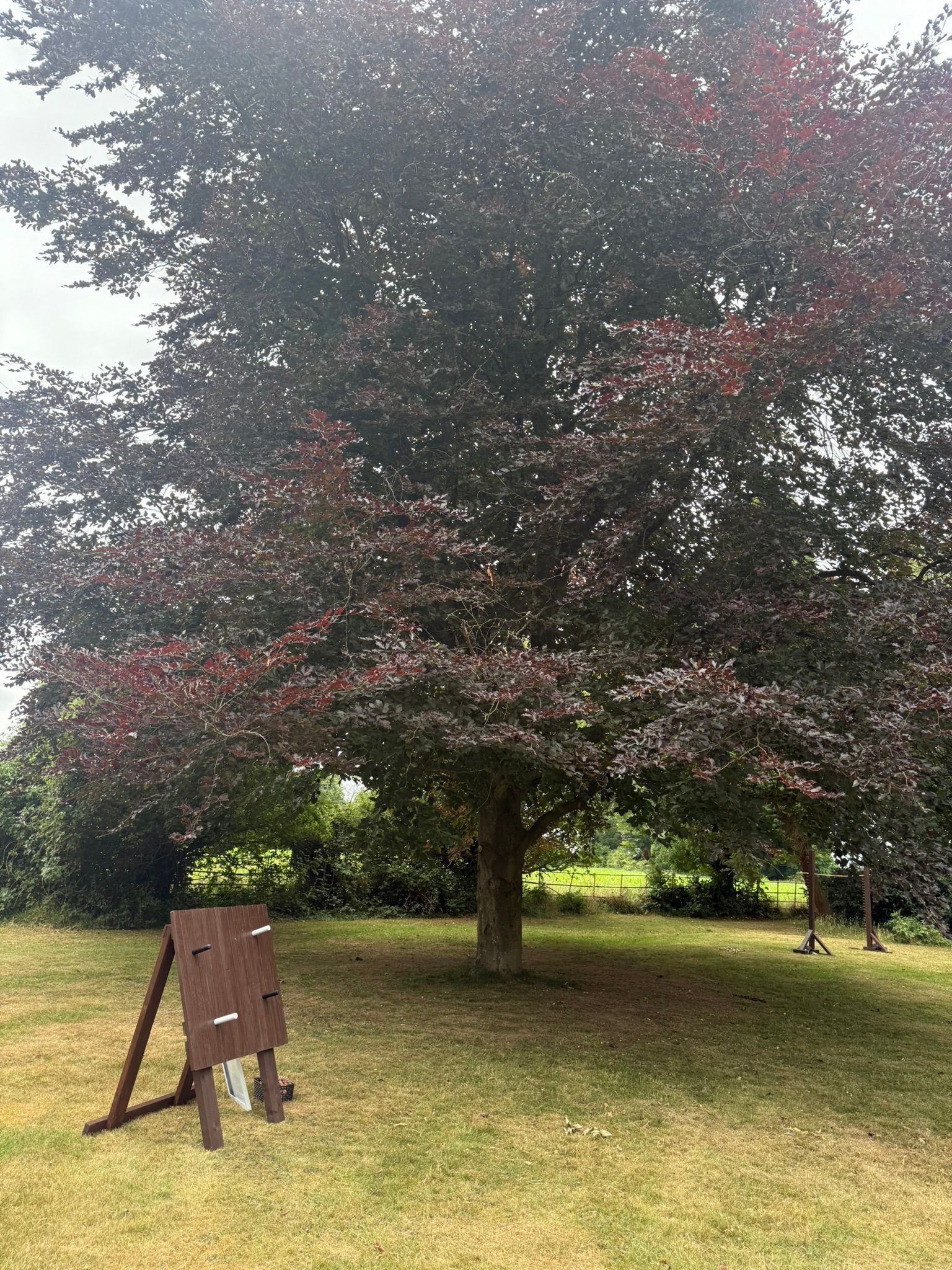 Lawn games set up on grass at a hotel in Hampshire