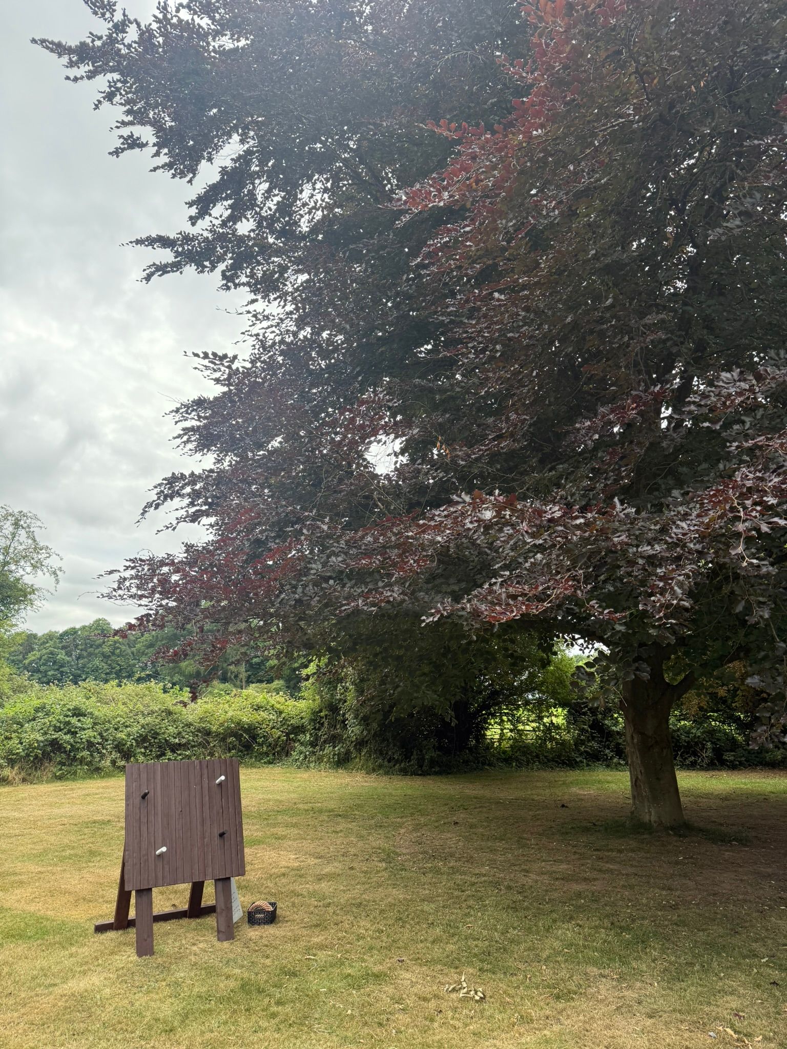 Lawn games set up on grass at a hotel in Hampshire