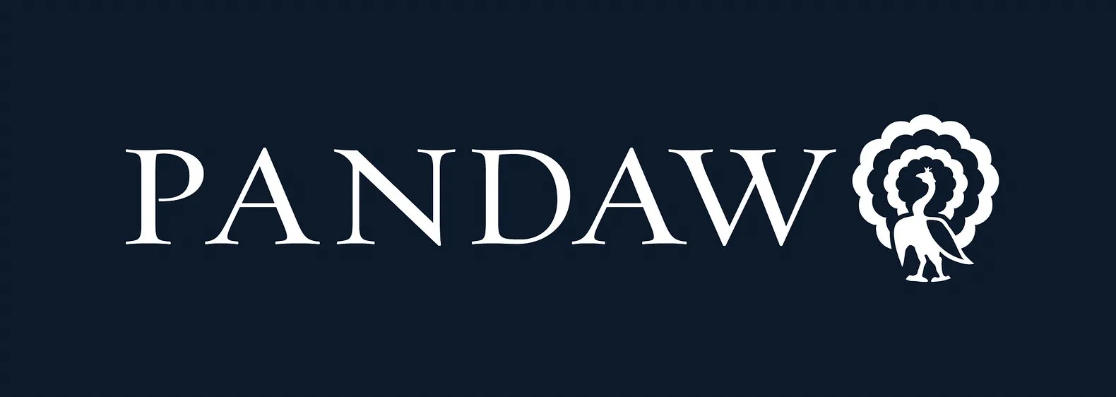 The pandaw logo is on a dark blue background