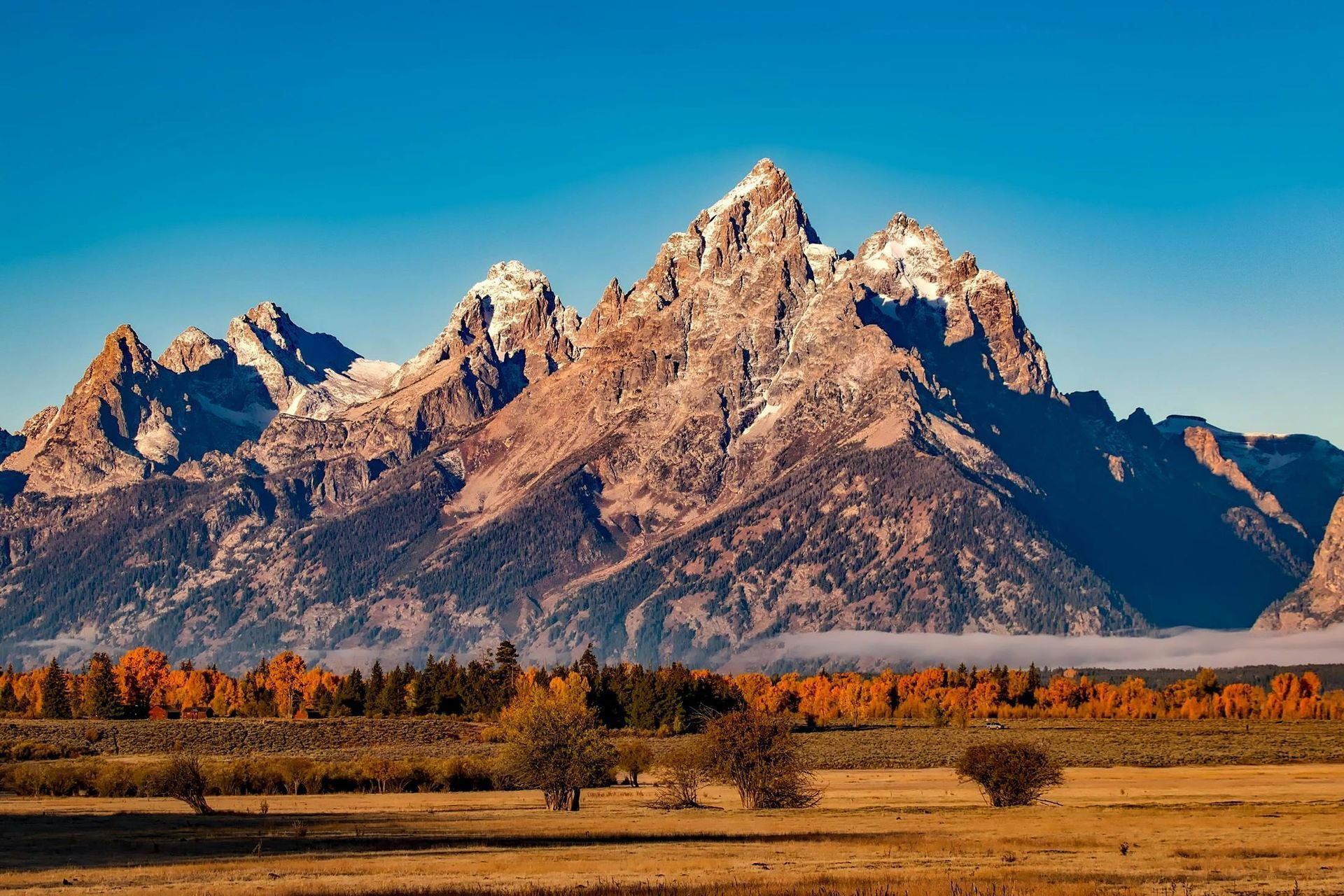 A mountain range with trees in the foreground and a field in the background.