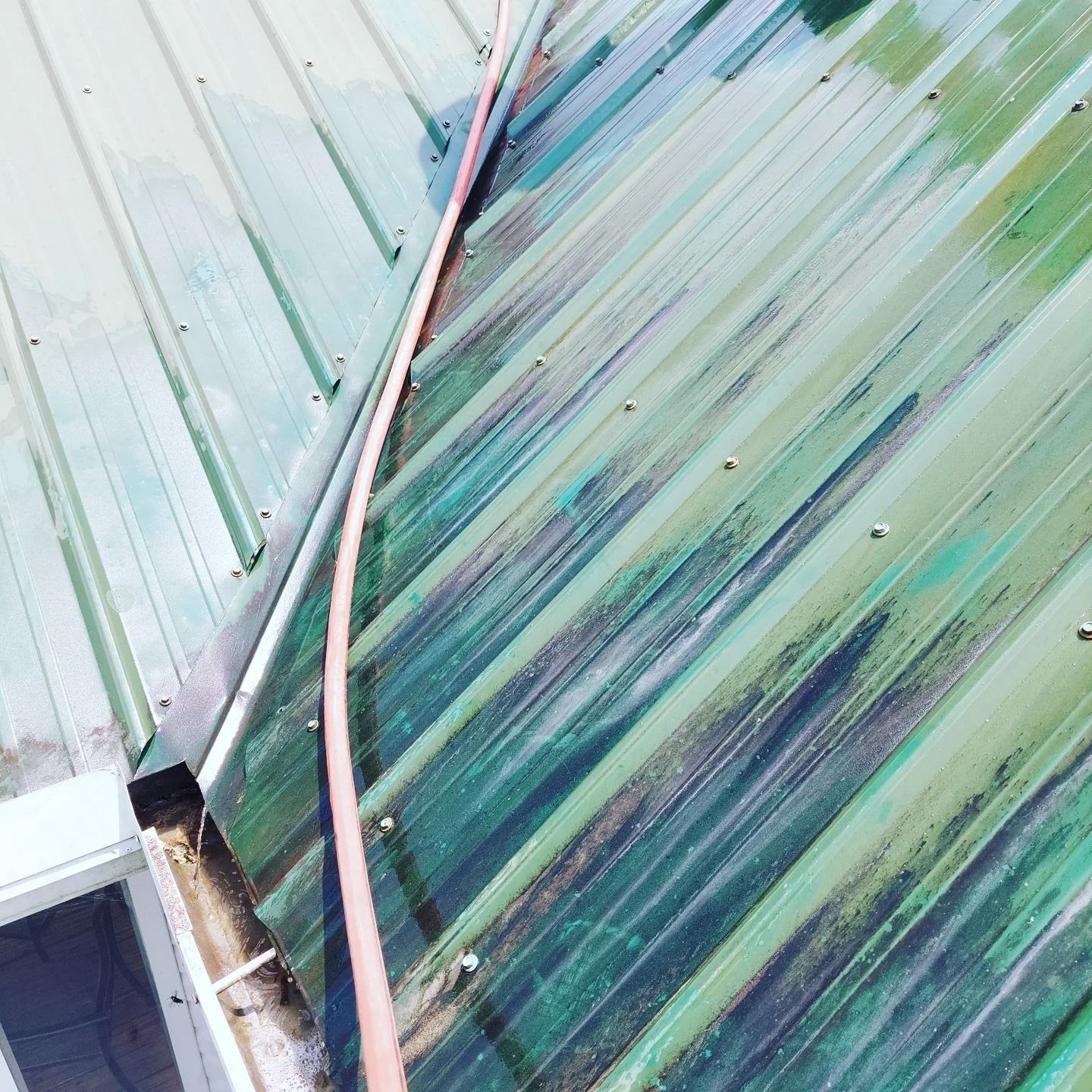 Green corrugated roof with a pink cable running diagonally across it