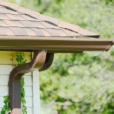A black and brown snake hangs over a house gutter beside a roof and downspout.
