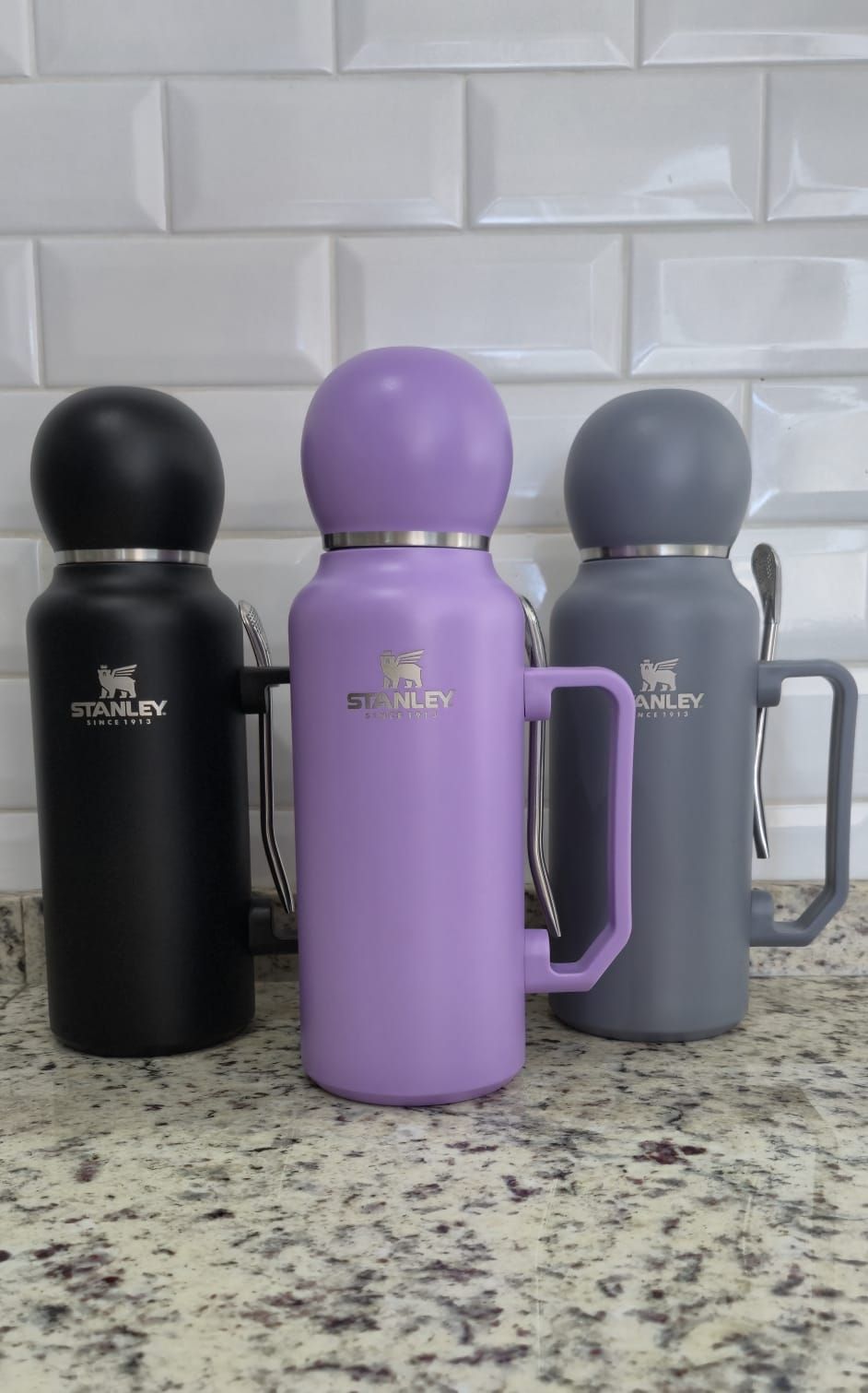 Termo tipo Stanley con mate y bombilla