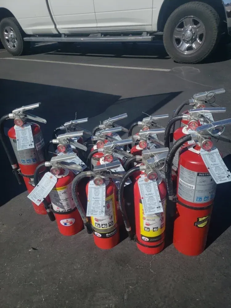 A bunch of fire extinguishers are lined up in a parking lot