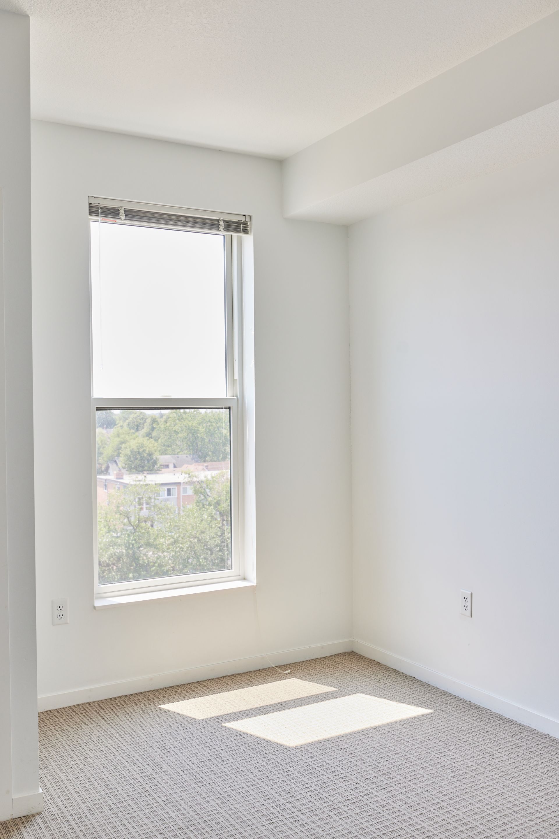 Empty, bright room with a window. White walls, tan carpet, natural light.