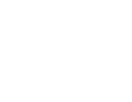 Southsider logo