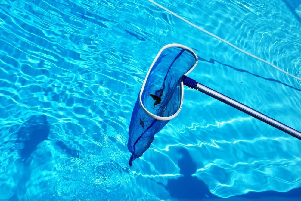 A Blue Net Is Being Used To Clean A Swimming Pool — All Bright Pool Care In Laurieton, NSW
