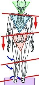 Chiropractic Services