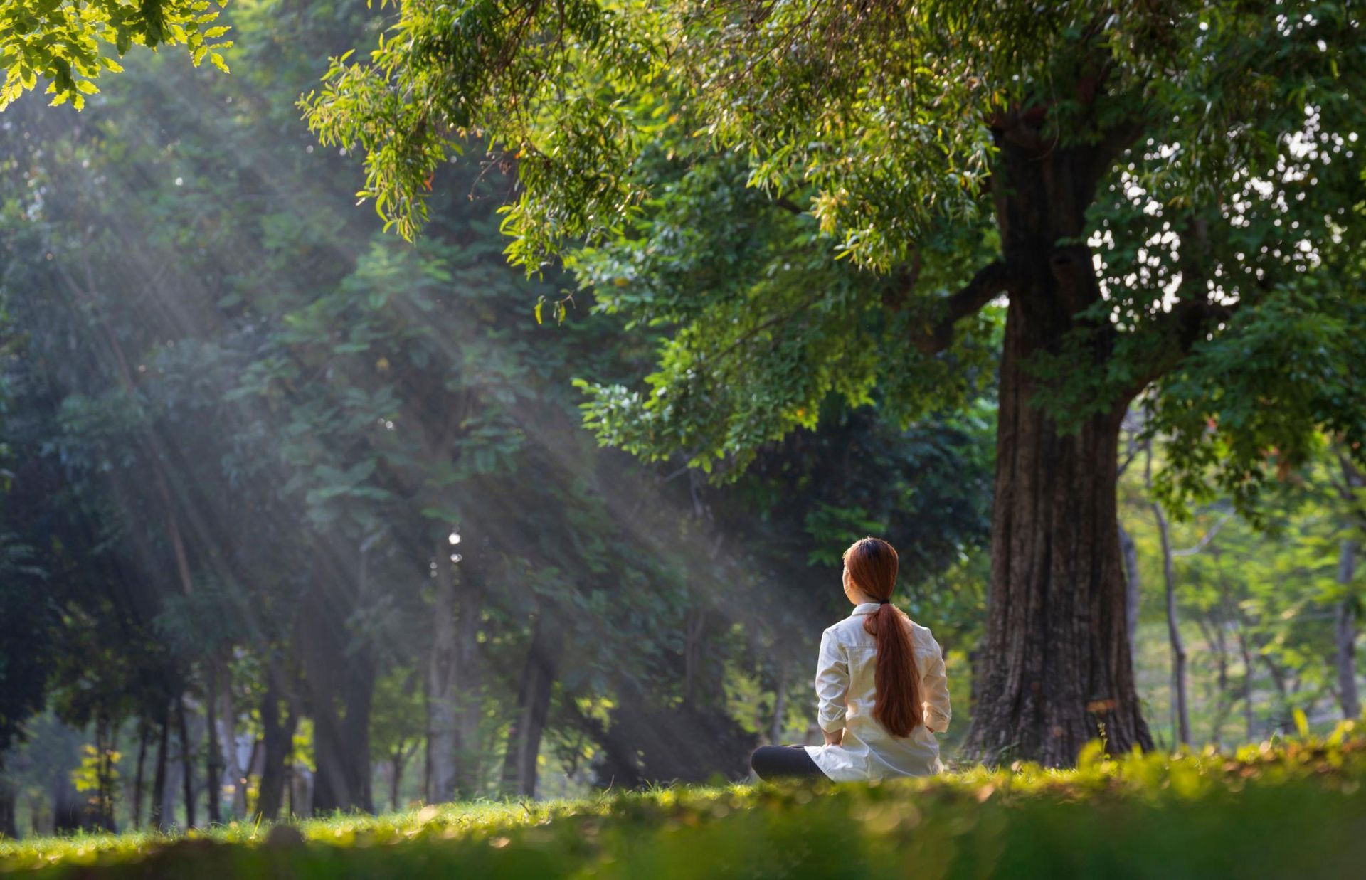 Person sitting peacefully in nature representing contentment and natural wealth