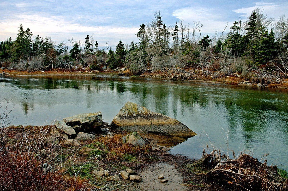 Black Owned Businesses & Black Entrepreneurs in Cole Harbour NS
