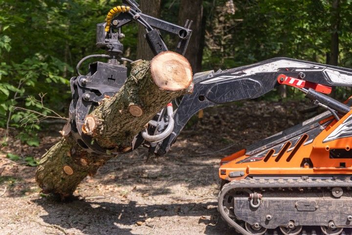 Orange skid steer with grapple holding a freshly cut log in a forest.