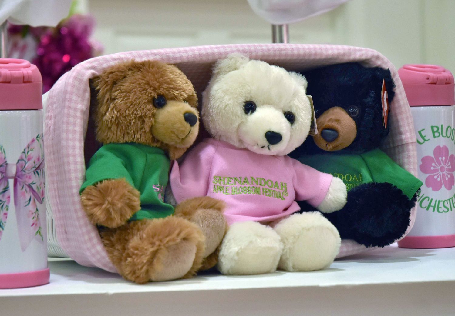 The Bloom Store - Teddy Bears