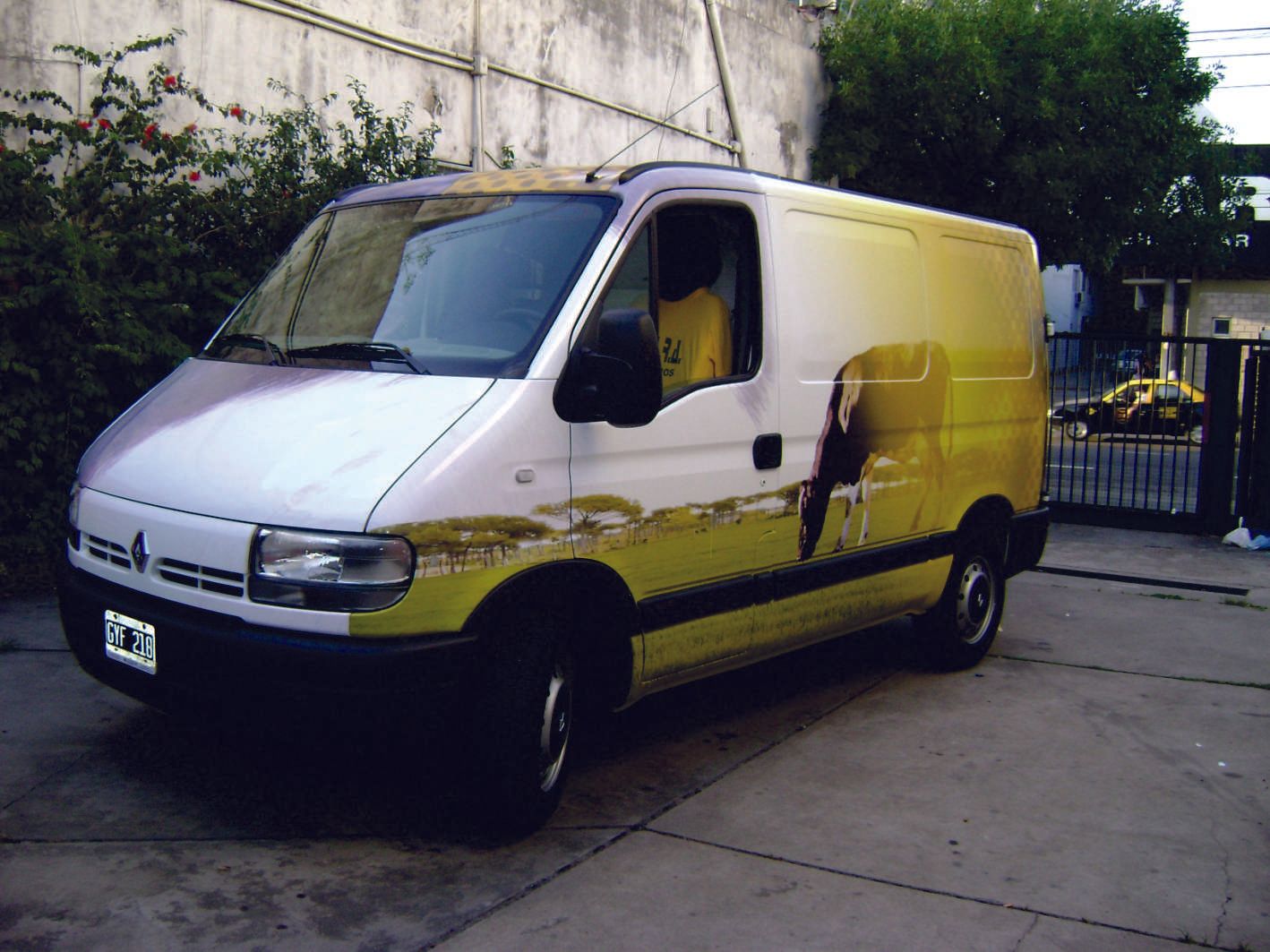 Decoración Vehicular