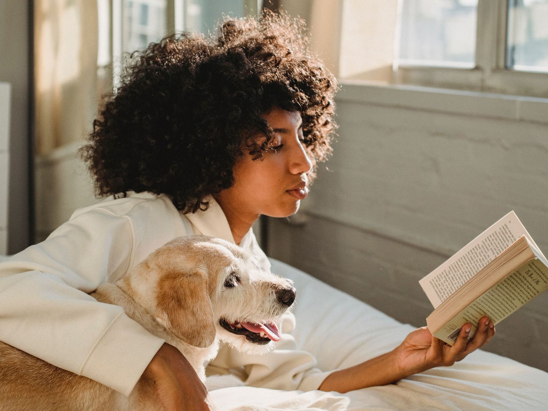 Woman reading a book in bed with a tan dog; bright sunlight, white bedding.