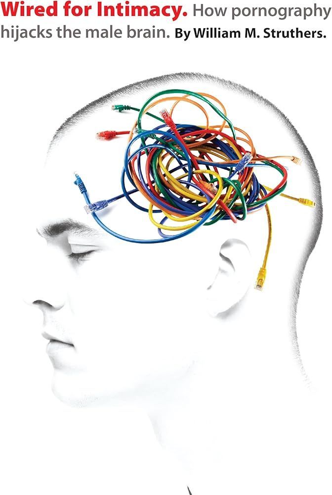 Christian and neuroscience-informed explanation of how pornography affects the brain and intimacy.