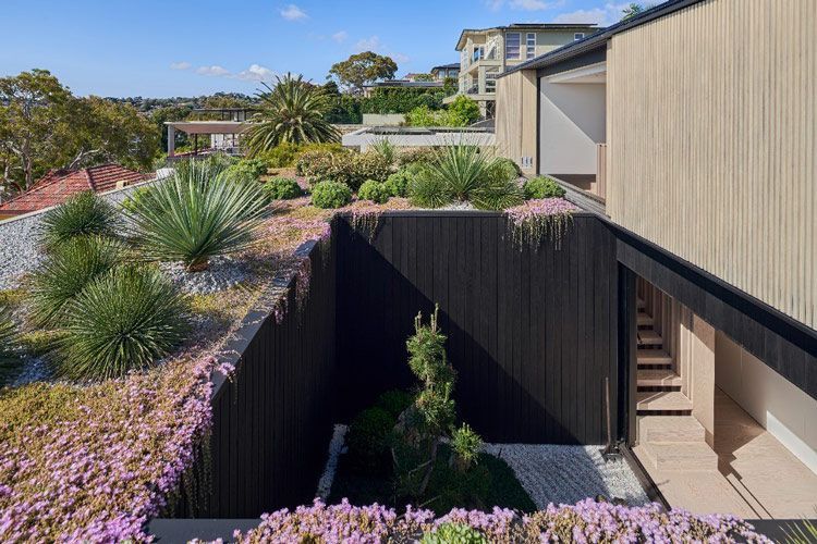 A House With a Staircase Leading Up to It is Surrounded by Flowers and Plants — Vale Building Inspections in Terrigal, NSW