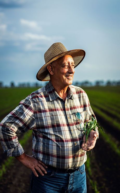 A man in a straw hat is standing in a field holding a plant.