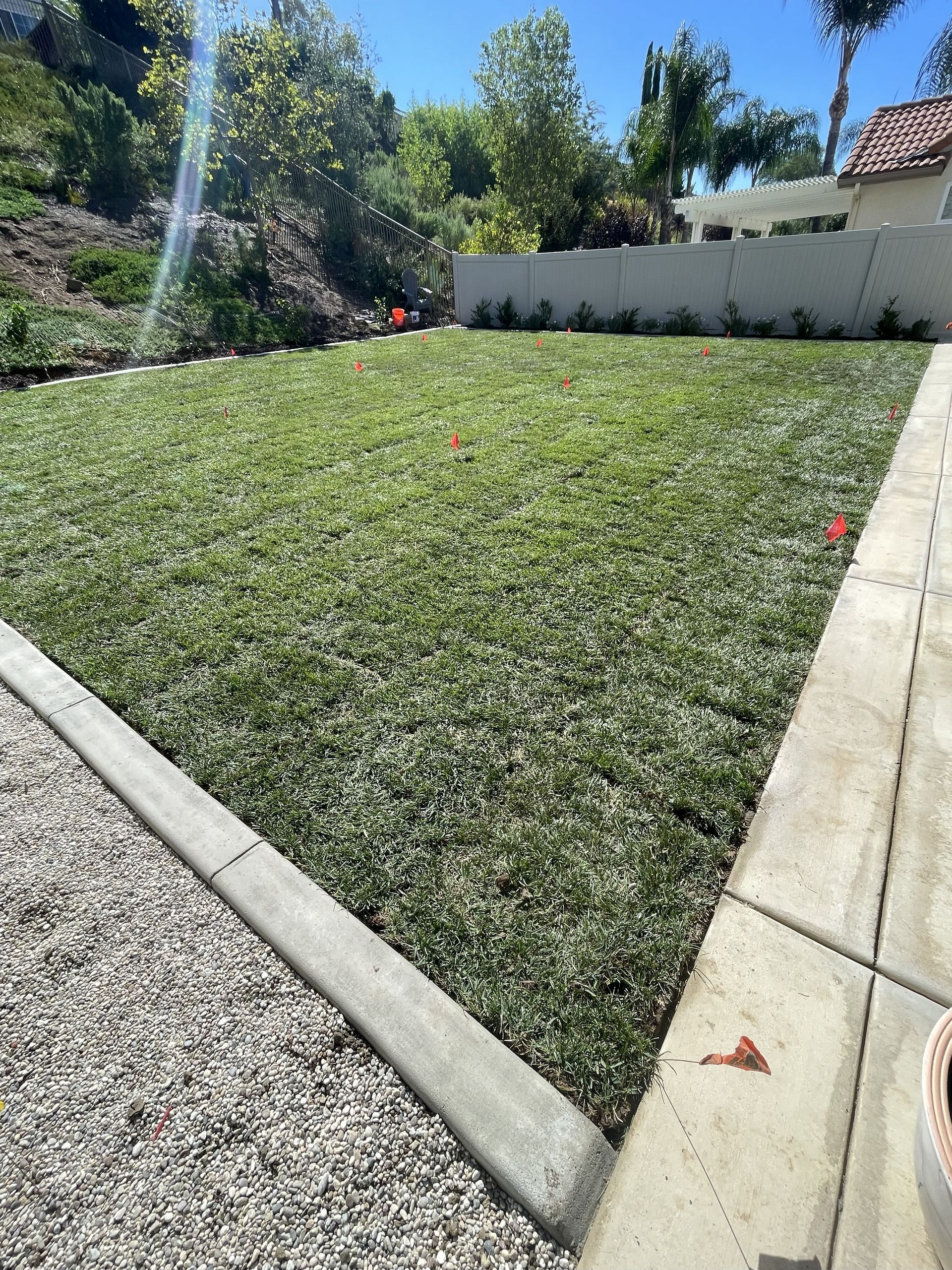 Sloped green lawn bordered by concrete paths, with trees and a white wall under bright sunlight.
