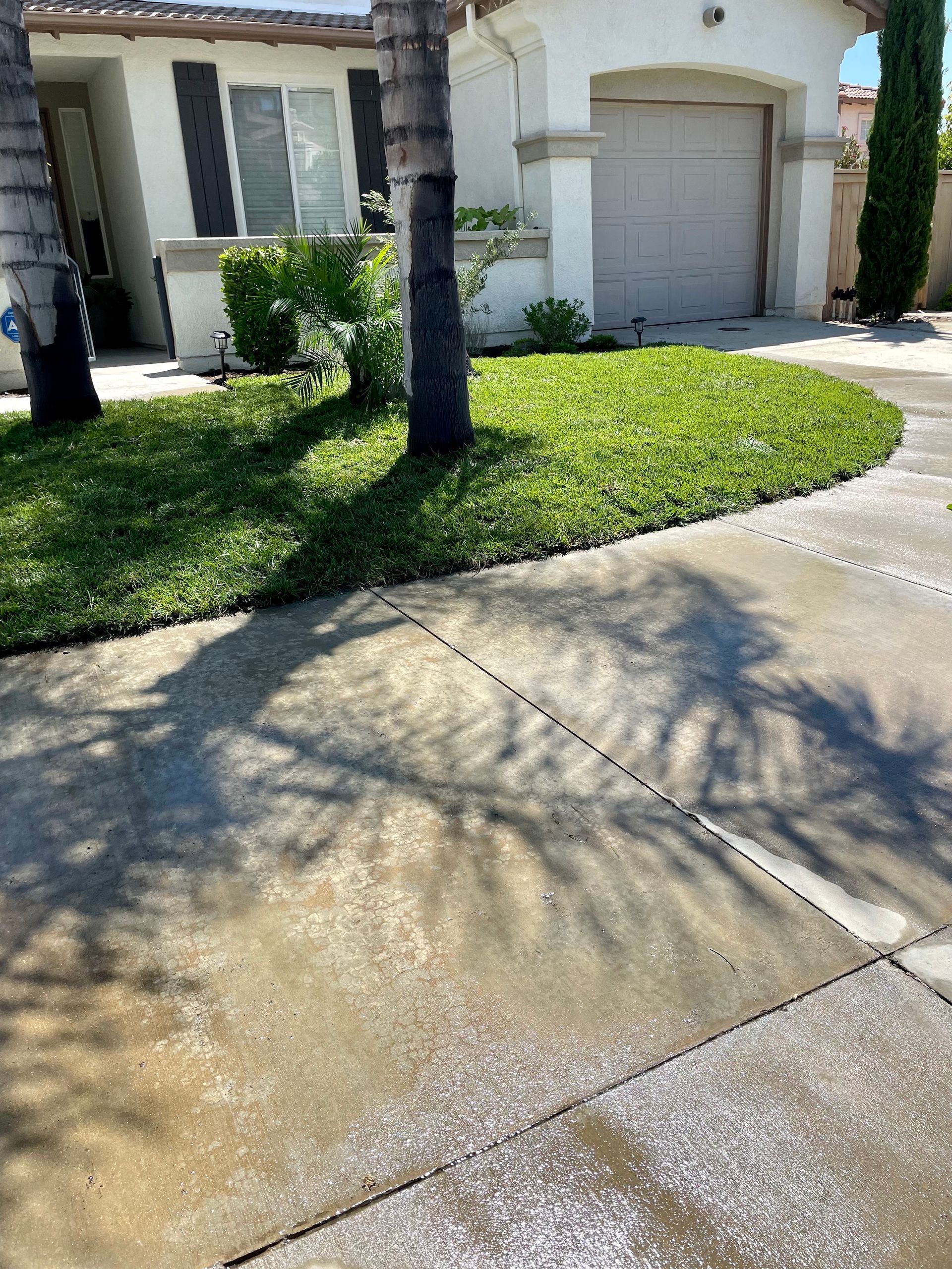 american home after green grass installation