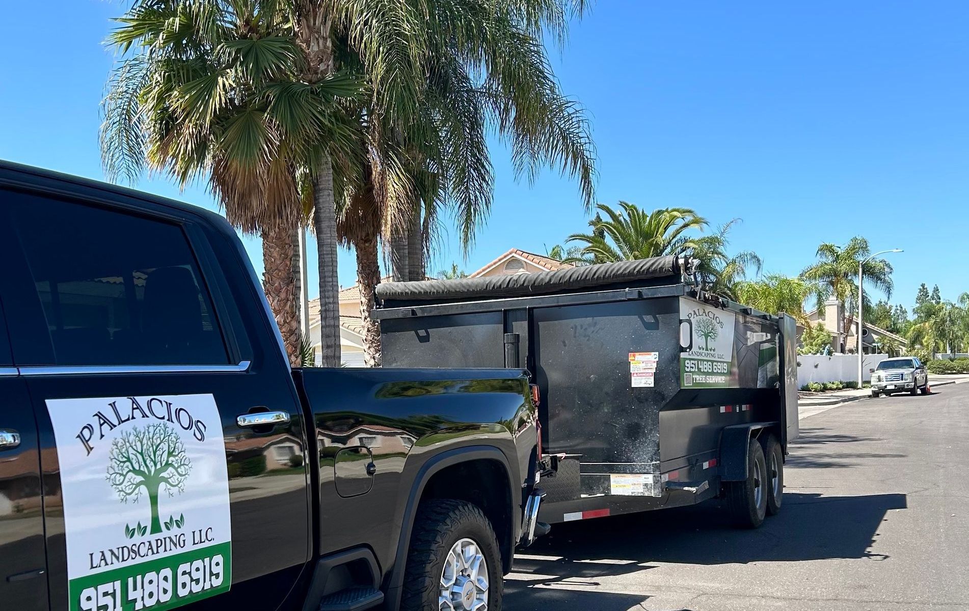 A black truck with a tree on the back is parked next to a dumpster.