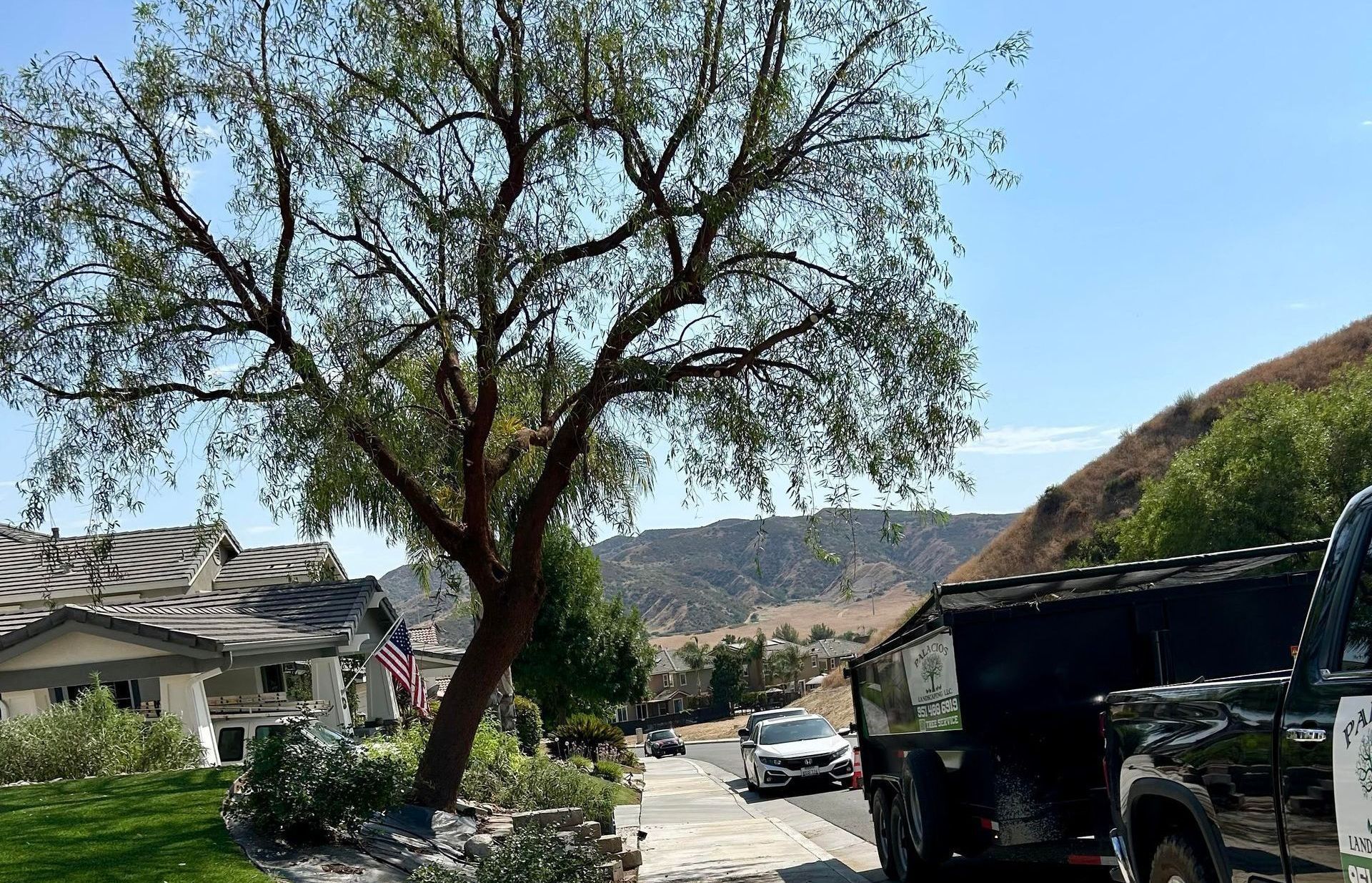 A jeep is parked on the side of the road next to a tree.