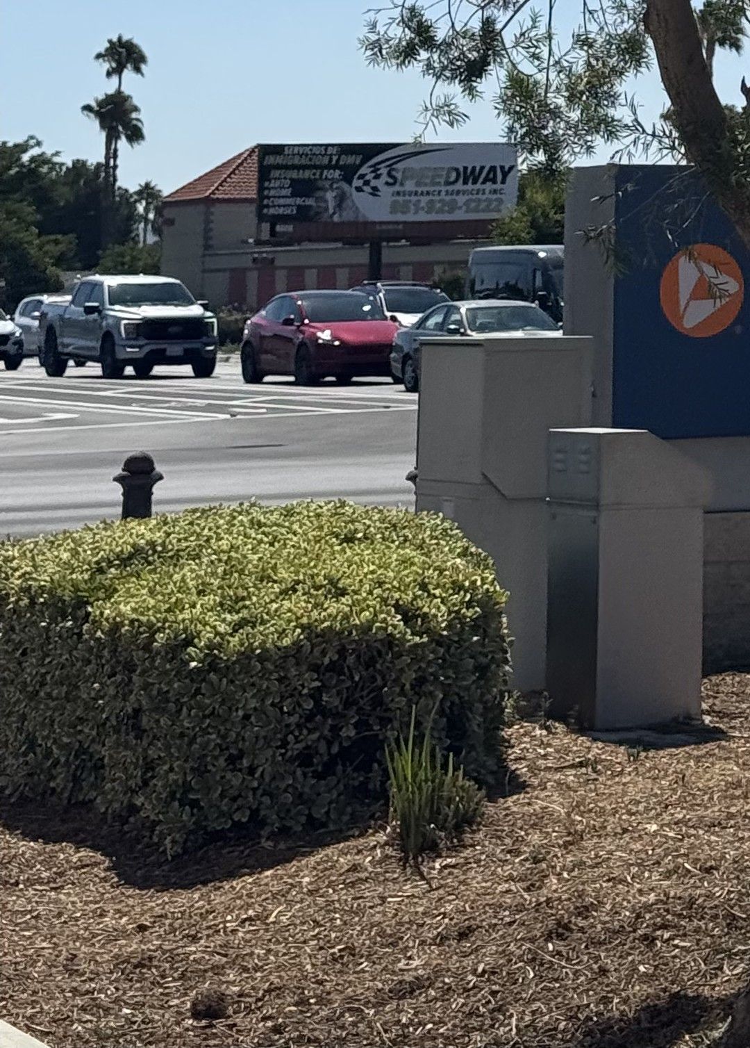 Commercial Bush Trimming, Hedge Reshaping, Overgrowth Removal