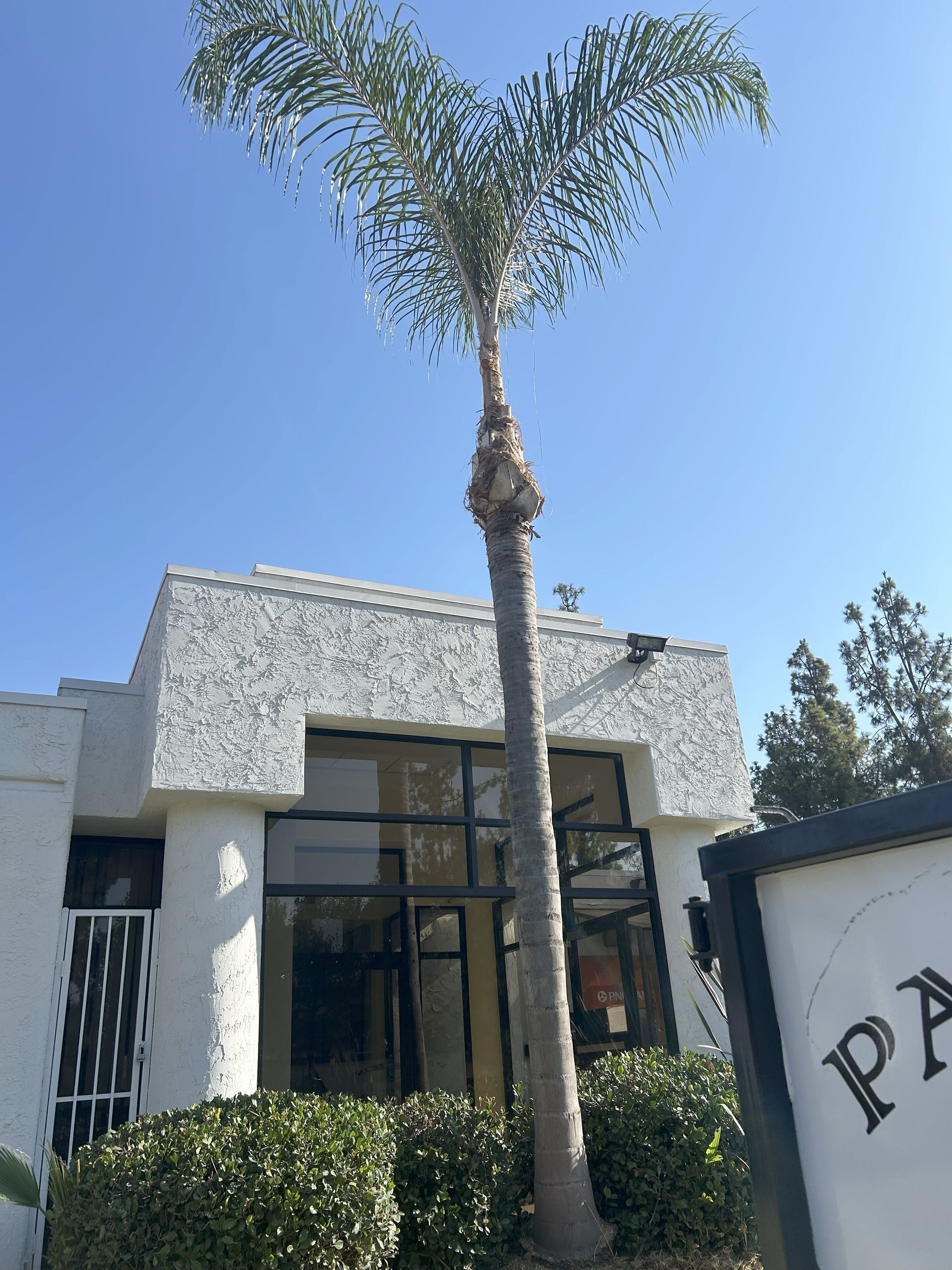 White building with palm tree against a blue sky. A sign is partially visible.