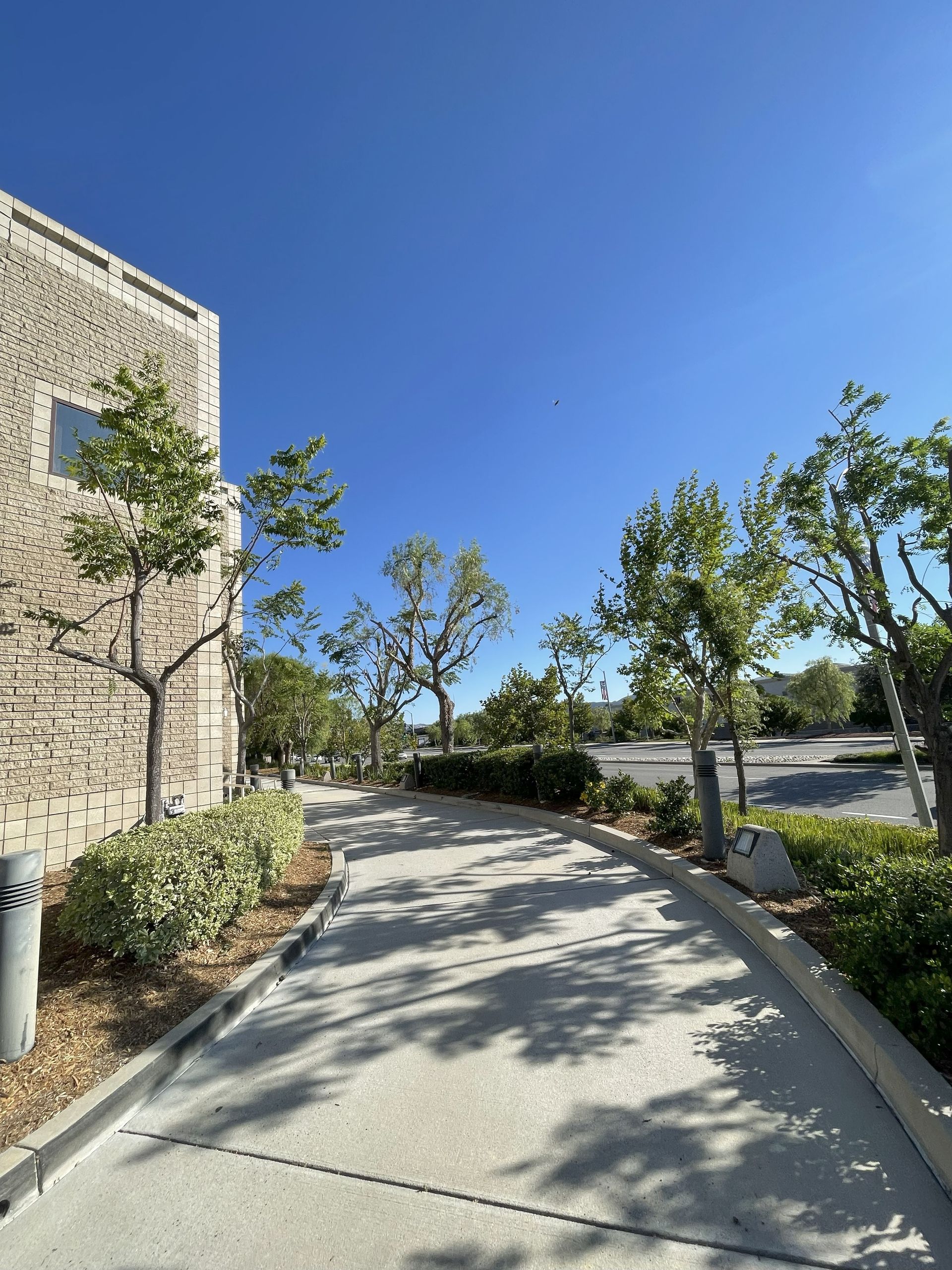 Commercial Tree Trimming, Tree Pruning & Shaping, Debris Cleanup & Hauling