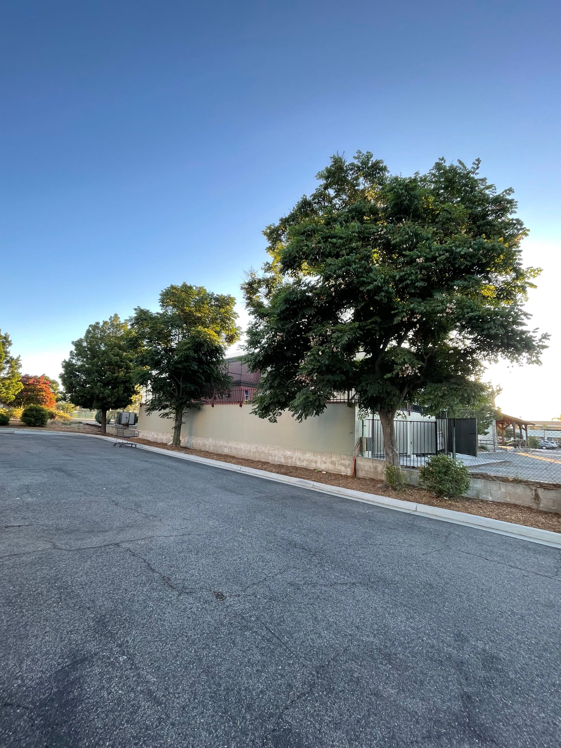 Trees line a gravel driveway in front of a light-colored building with a blue sky overhead.