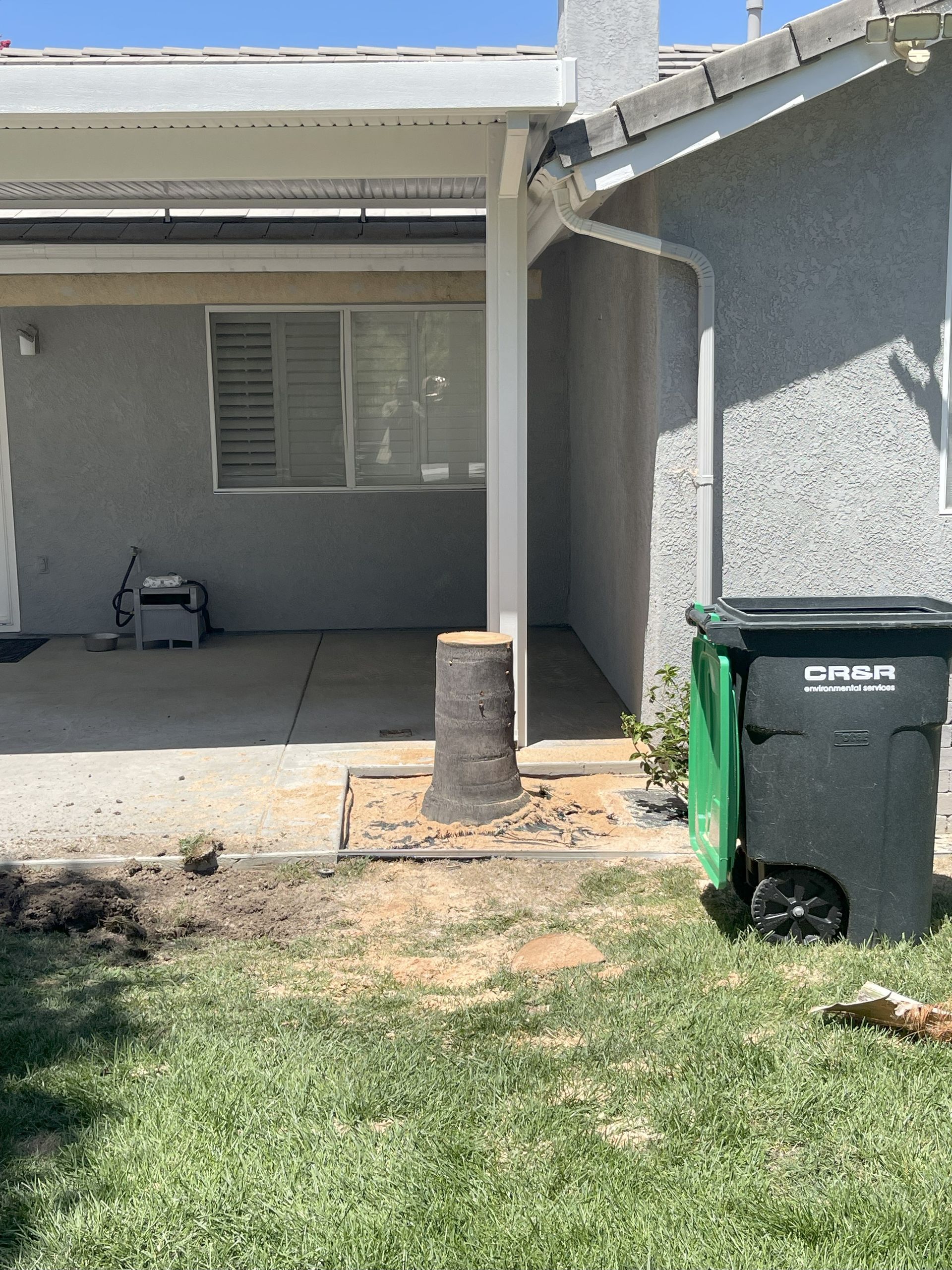 Palm Tree Removal, Tree Cutting & Sectioning, Tree Hauling & Disposal