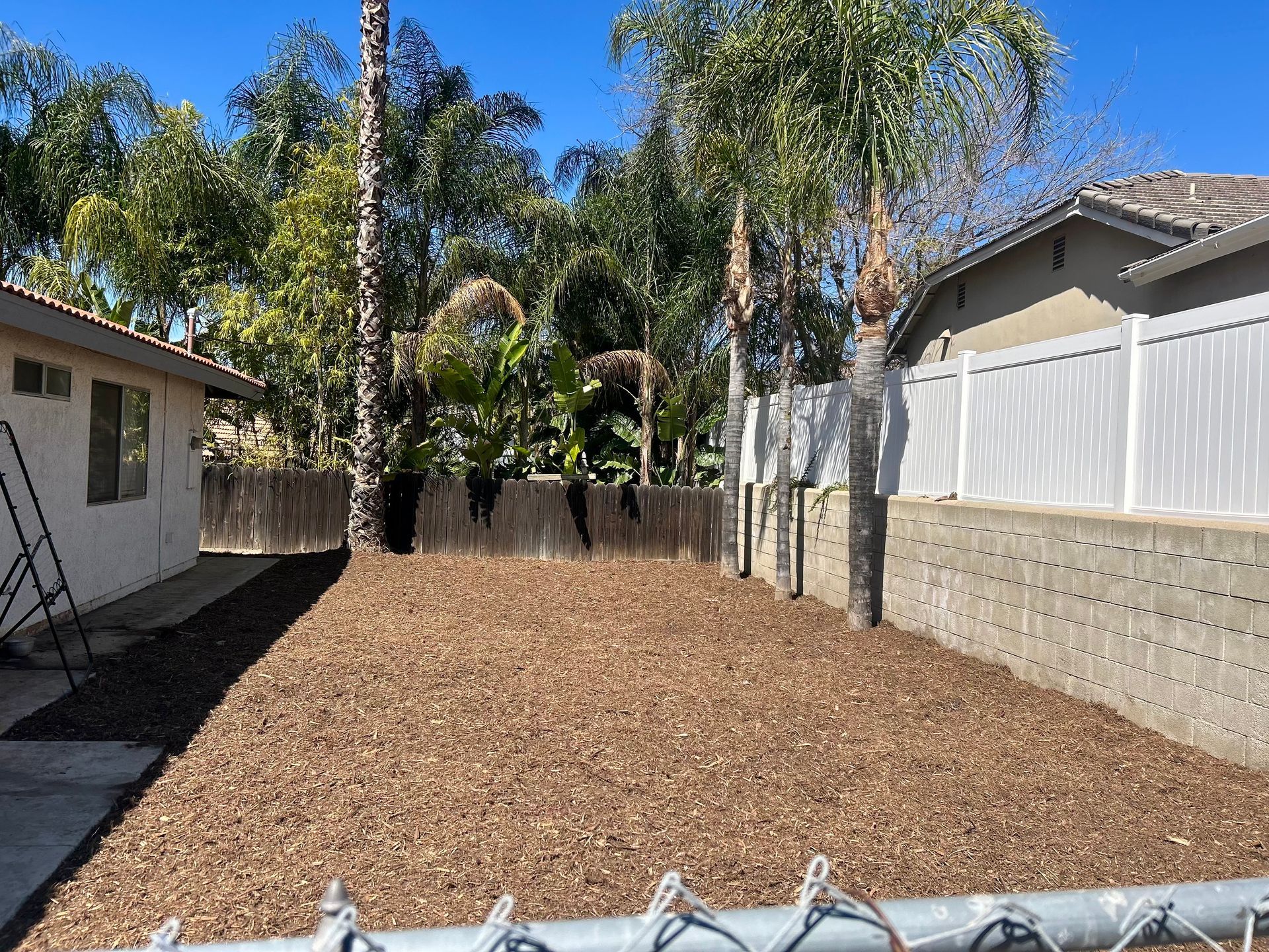A backyard with a chain link fence and a house in the background.