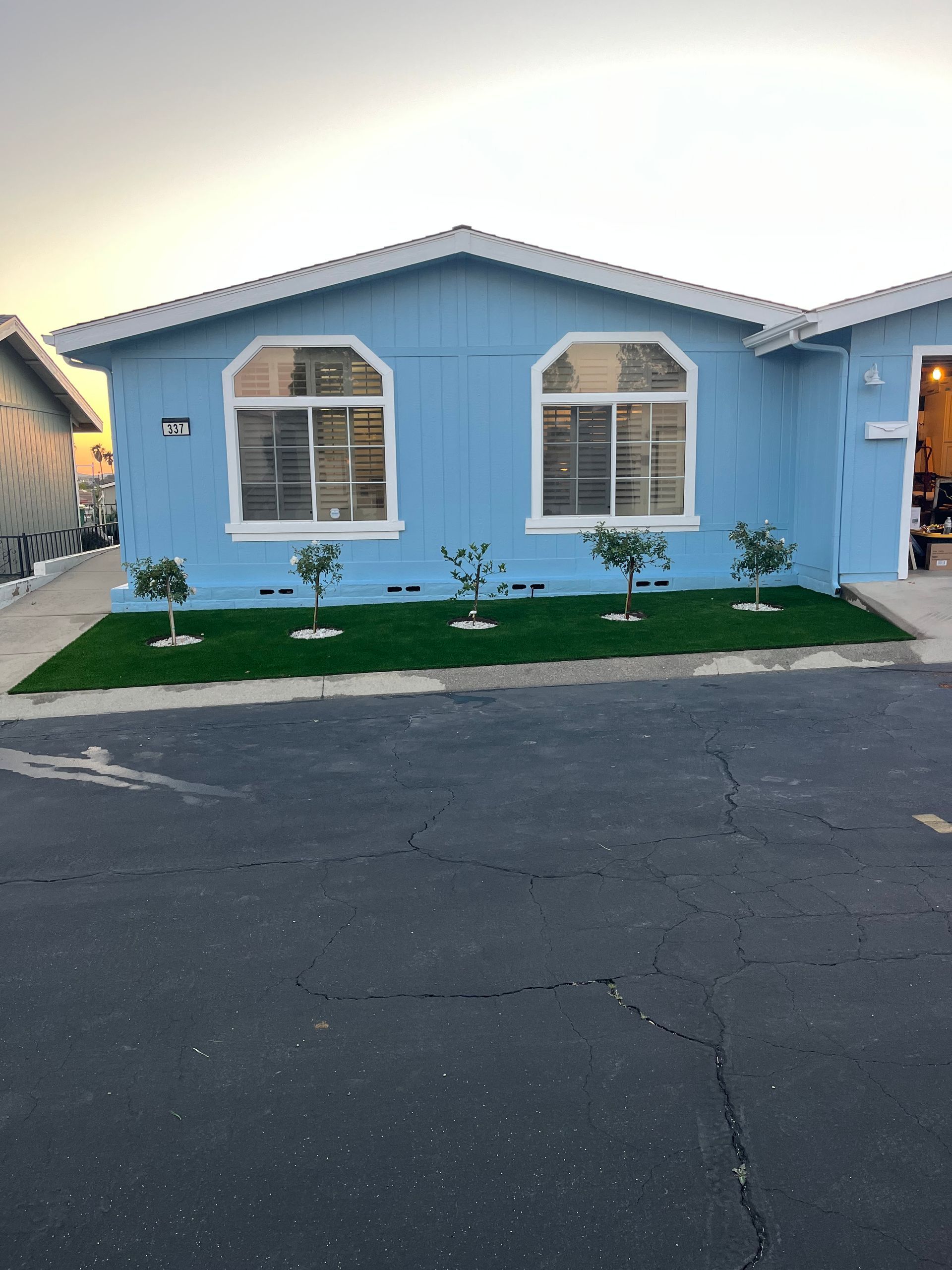 Tree Planting, Hole Digging, Soil Preparation, Tree Placement