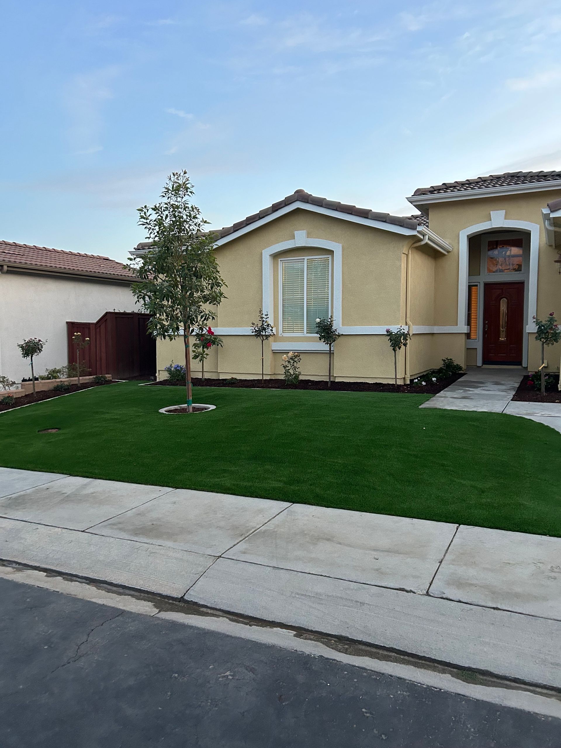 Dead Tree Removal, Overgrown Tree Removal, Stump & Root Clearing, New Tree Planting, Debris Cleanup