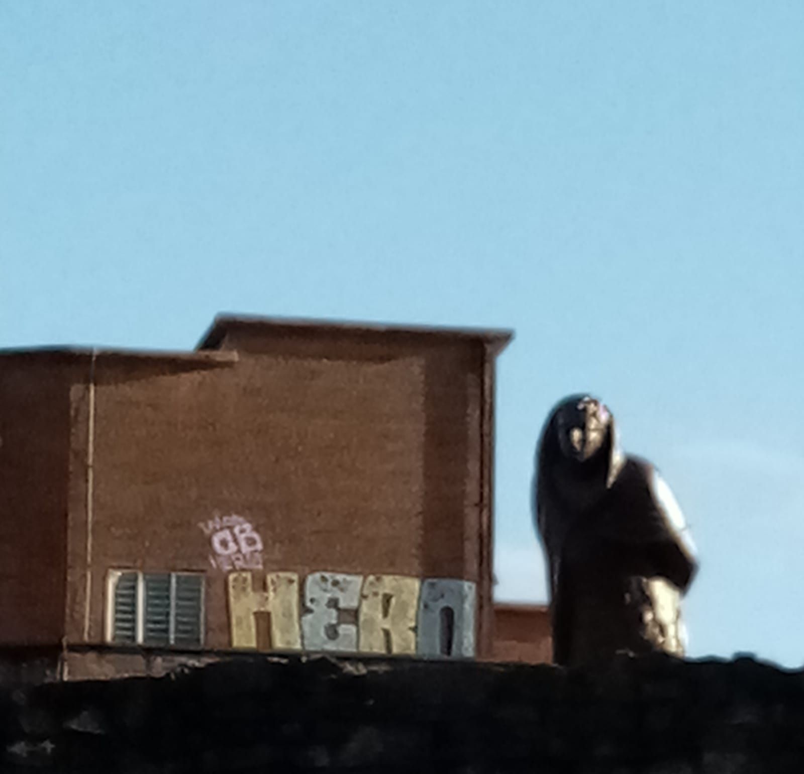 A statue of a man stands in front of a building with the word hero written on it