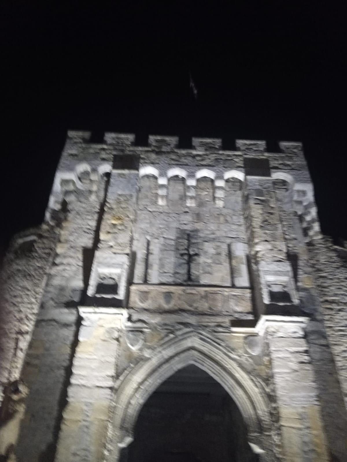 The front of a castle is lit up at night