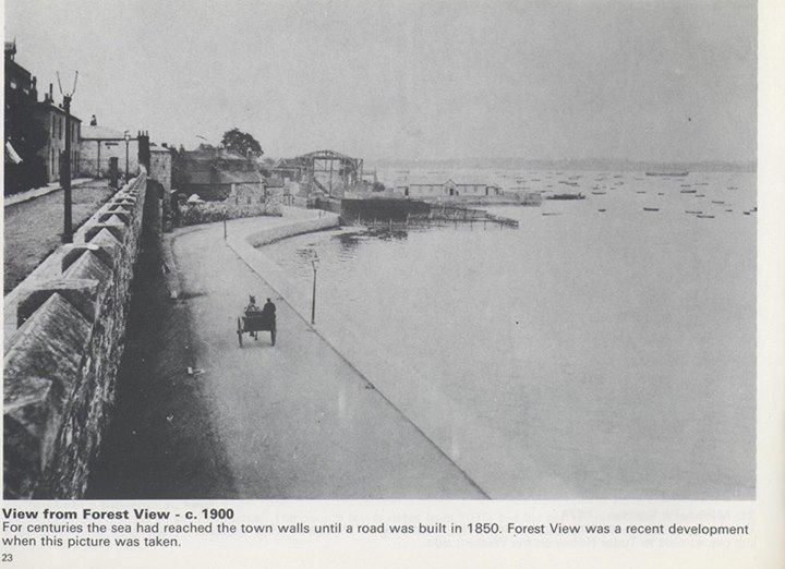 A black and white photo of a view from forest view