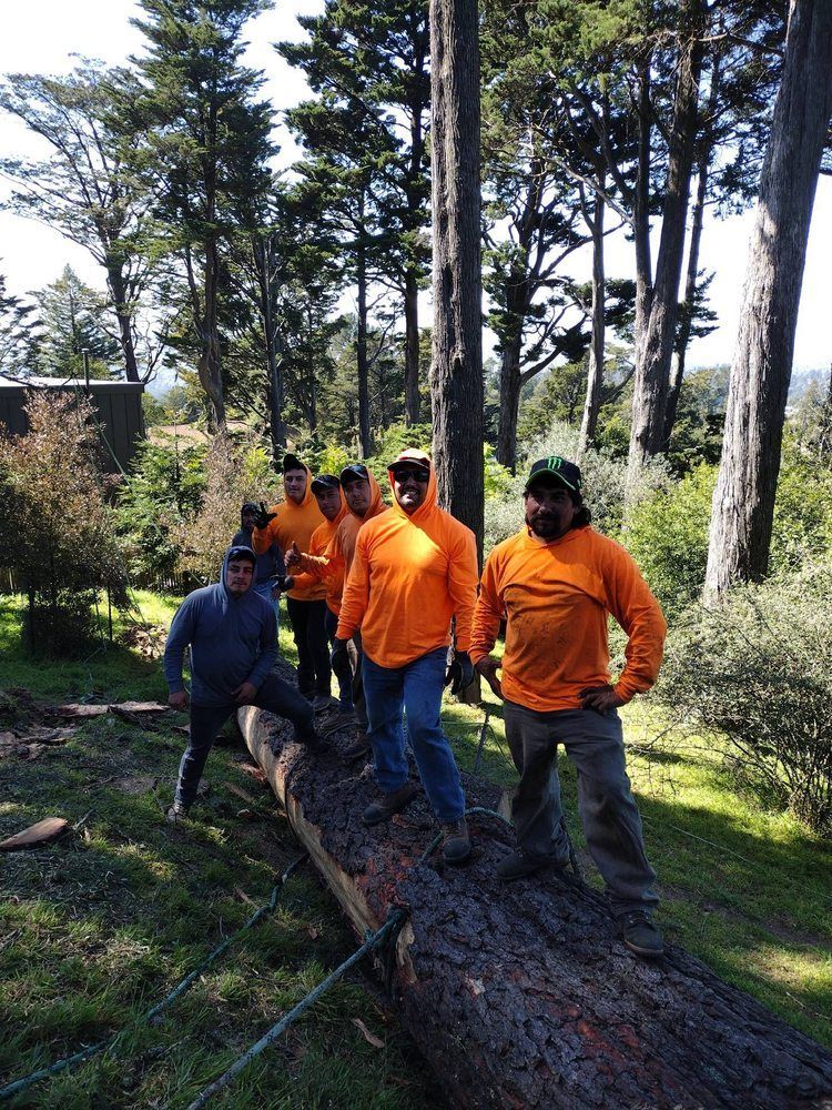A group of men are standing around a large log in the woods.