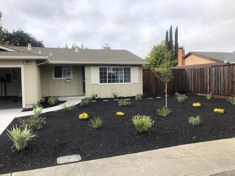 A house with a lot of plants in front of it