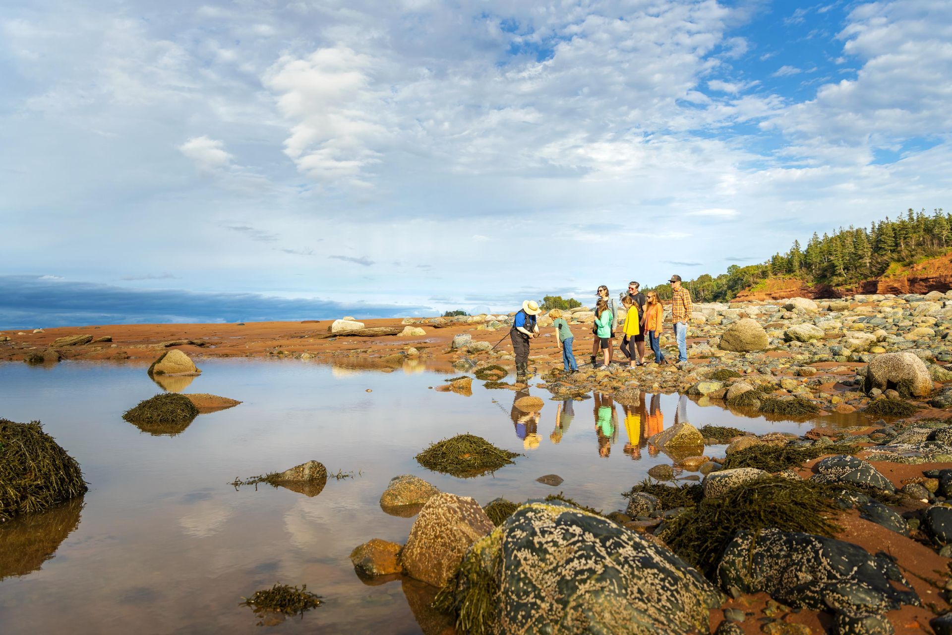 Woman guiding a captivating tour on the ocean floor at Burntcoat Head Park