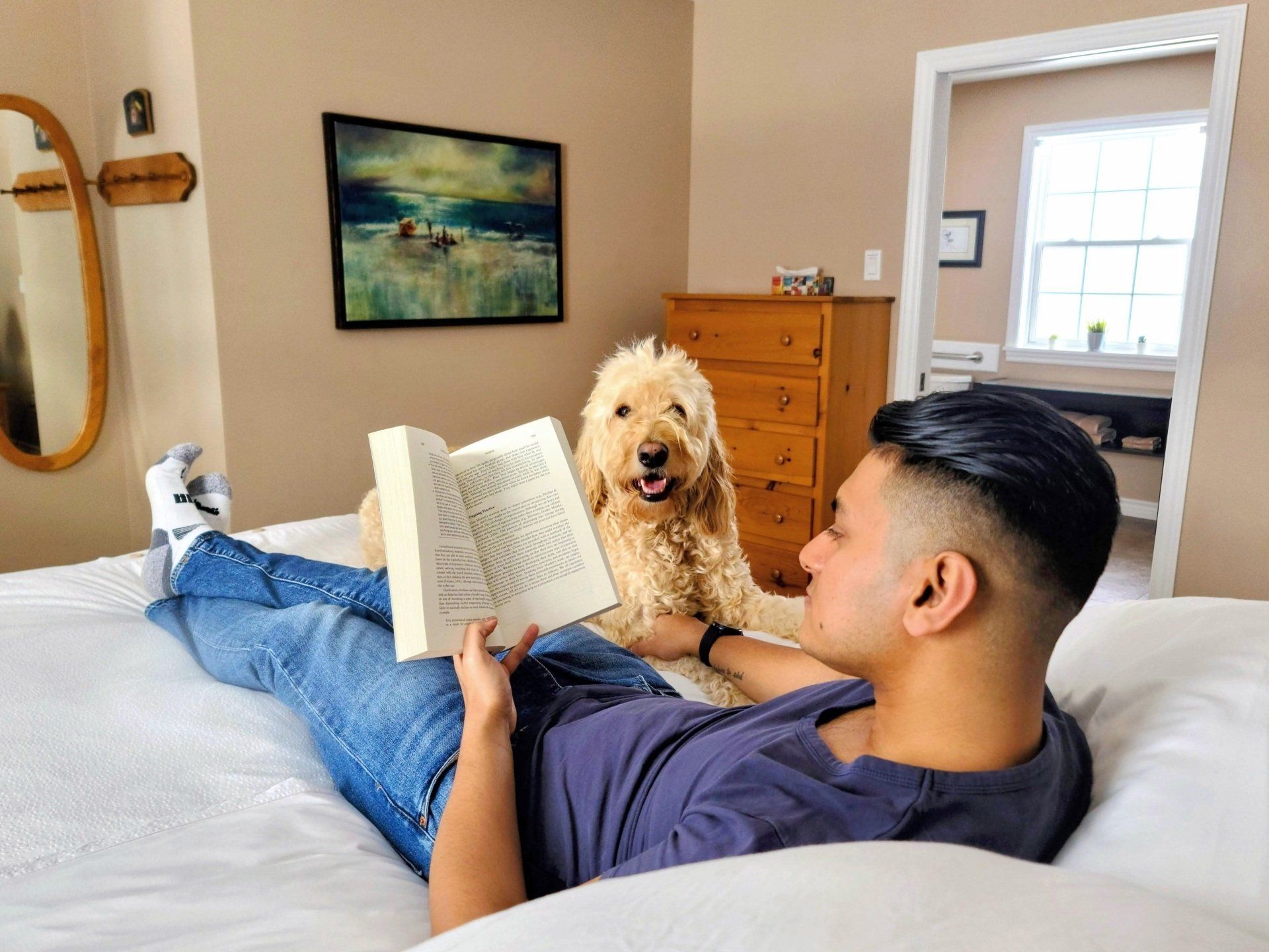 a person reads a book in bed with his goldendoodle beside him 