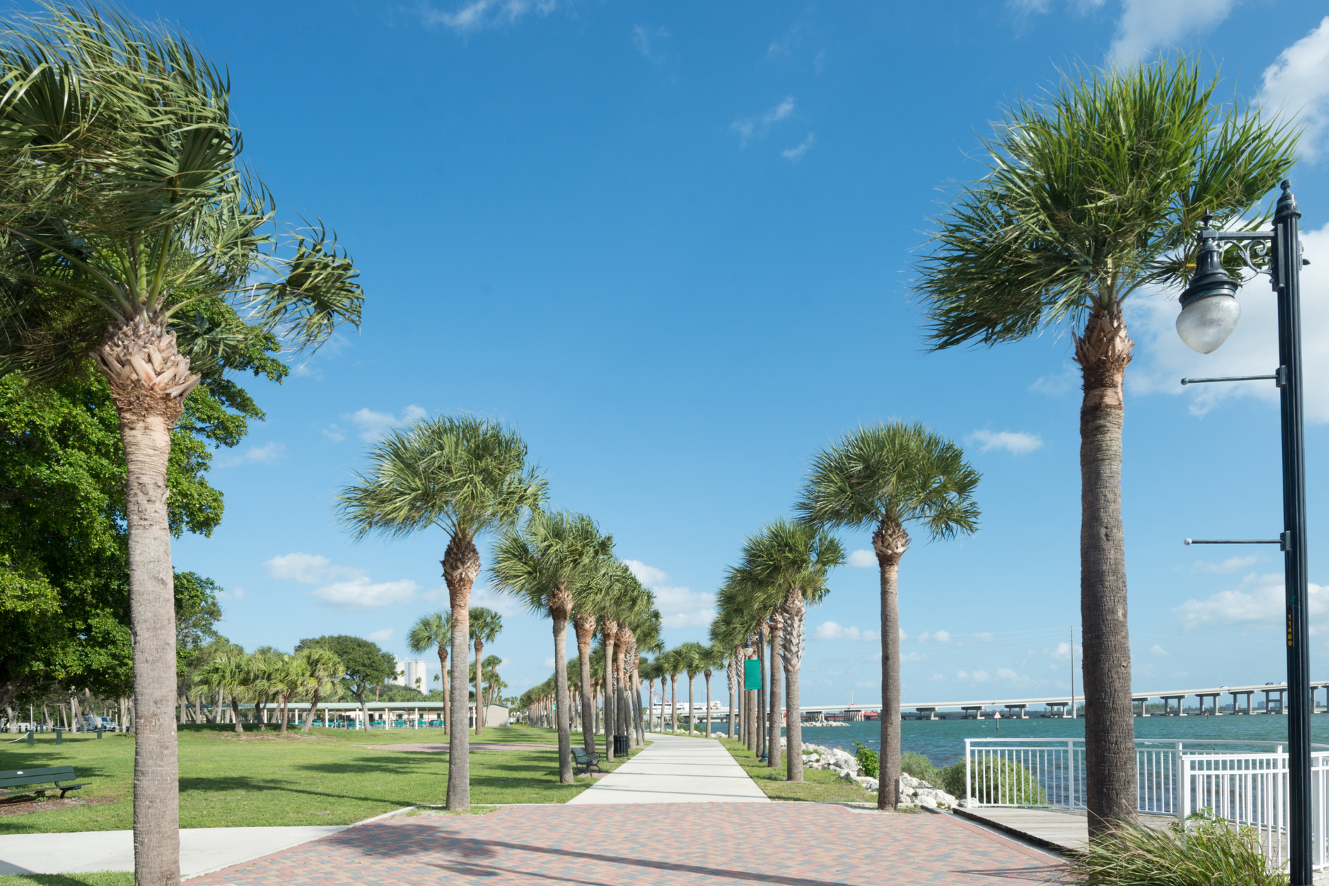 Bright kitchen with white cabinets, wooden floors, and a granite island with bar stools.