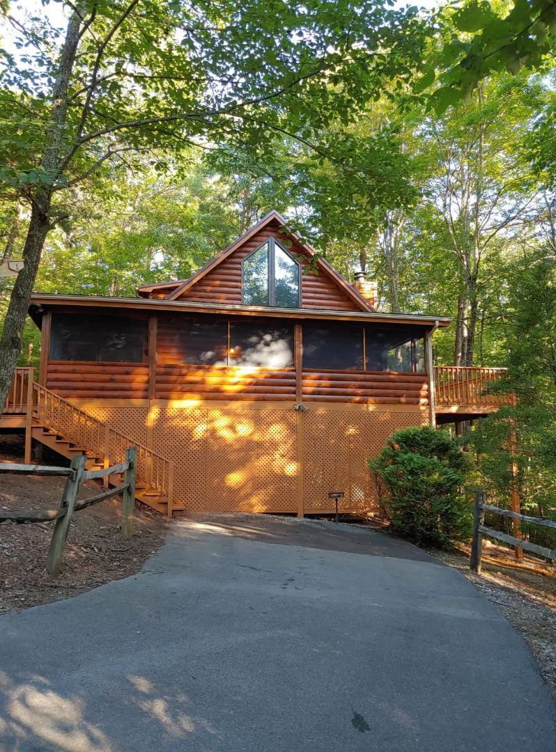 Cabin with wood siding and a driveway surrounded by trees.