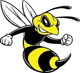 Bee & Wasps extermination — Kansas City, MO — KC Pest Experts