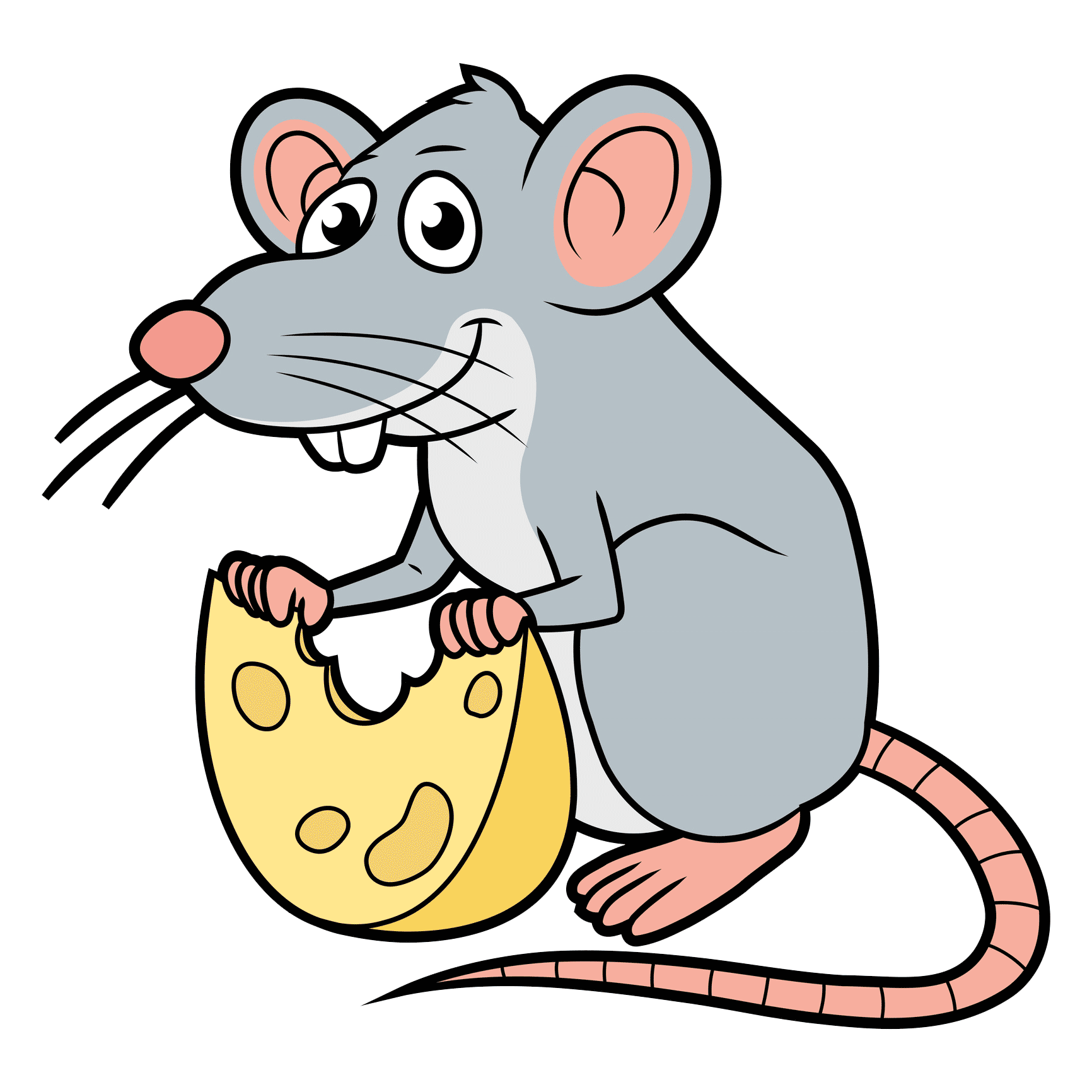 Rat With a Cheese — Kansas City, MO — KC Pest Experts