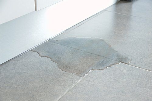 Common Water Leaks In House