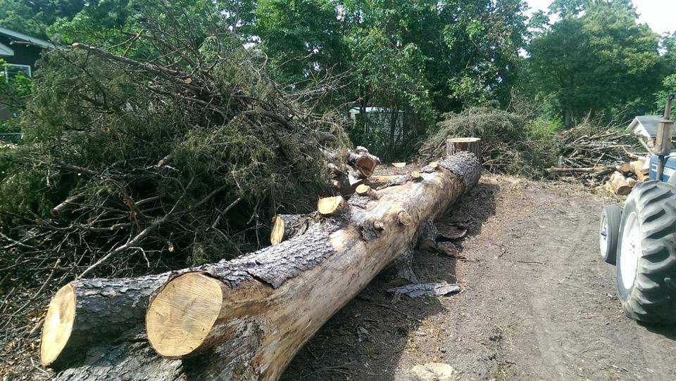 A large log is sitting in the middle of a dirt road next to a tractor.