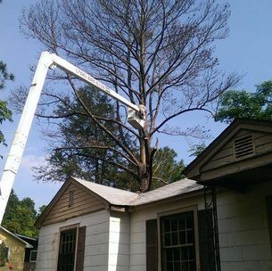 A crane is cutting a tree in front of a house.