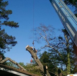 A crane is lifting a tree branch from the roof of a house.