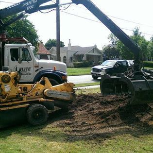 A stump grinder is being used to remove a tree stump.